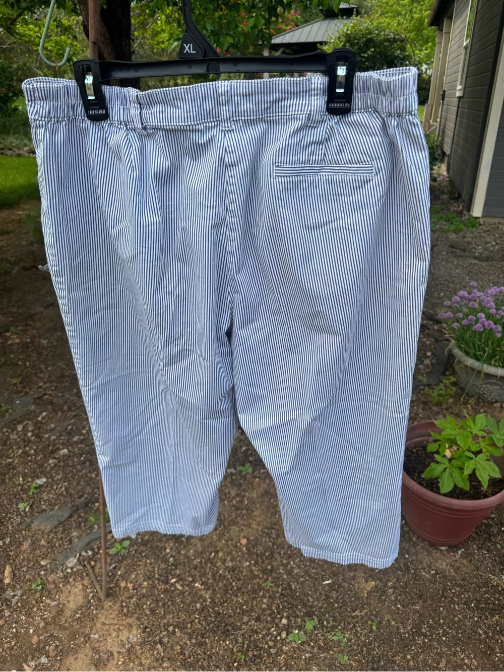 Karen Scott Blue and White Striped Capris with Button Cuffs - Picture 7 of 13